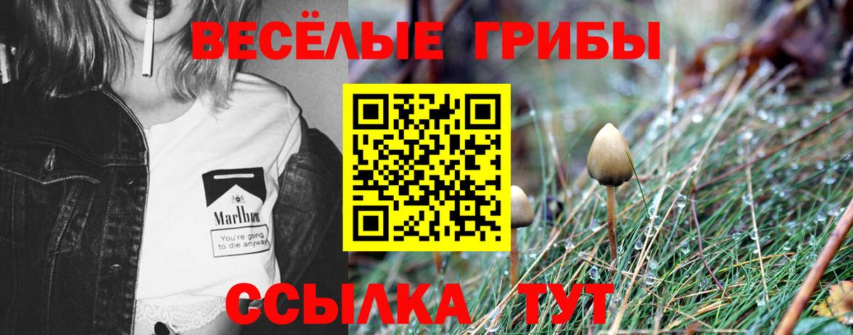 Избербаш  купить  сайты  Вход с VPN  Псилоцибиновые грибы мухоморы 